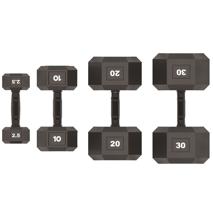 Hex 2024 dumbbells 30kg